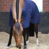Kentucky Horsewear Stalldecke 400 gr.
