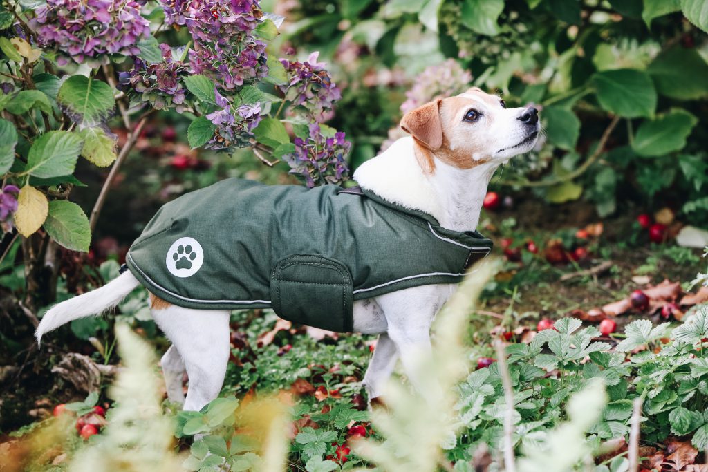 Kentucky Dogwear Hundemantel Reflektierend & Wasserabweisend – Größe XXS, Grau, Mit Kunstfell Für Wärme