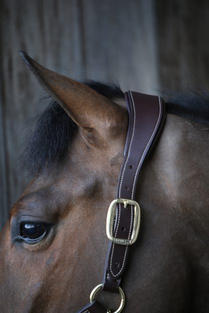Kentucky Horsewear Lederhalfter Anatomic – Bild 3