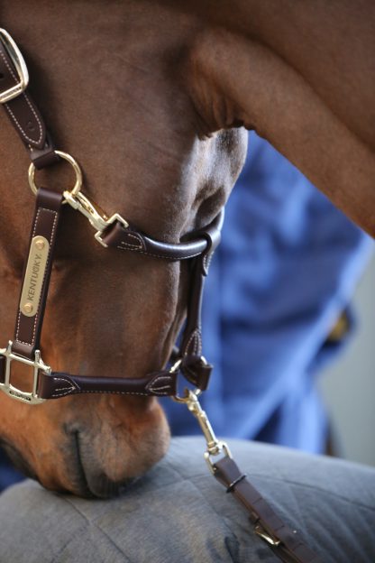 Kentucky Horsewear Lederhalfter Anatomic – Bild 4