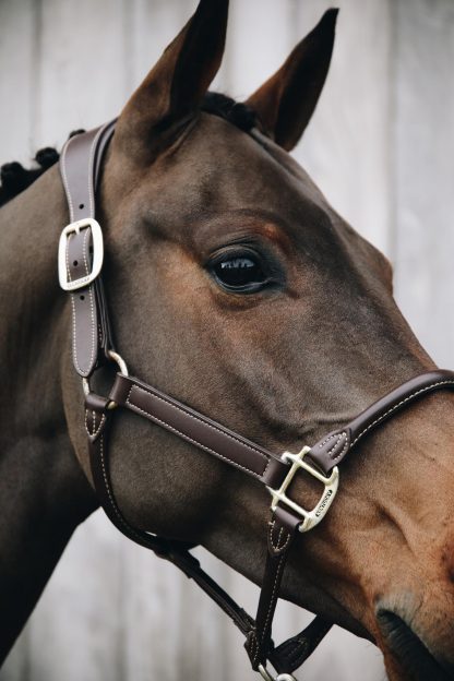 Kentucky Horsewear Lederhalfter Anatomic