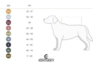 Kentucky Dogwear Hundemantel wasserdicht 300g – Bild 8