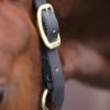 Kentucky Horsewear Halfter Control – Bild 3