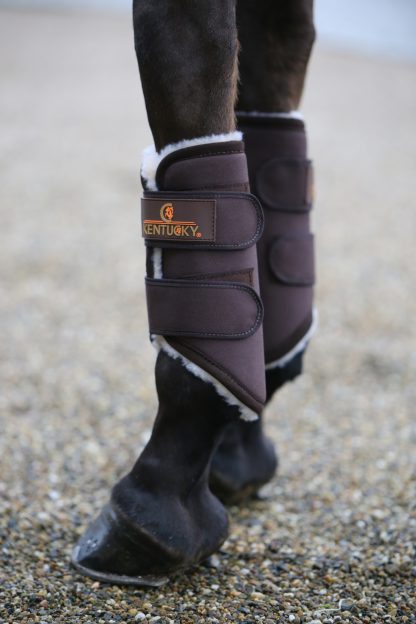 Kentucky Horsewear Trainingsgamasche Solimbra – Bild 2