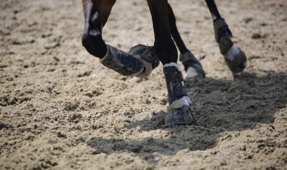 Kentucky Horsewear Trainingsgamasche Solimbra – Bild 3
