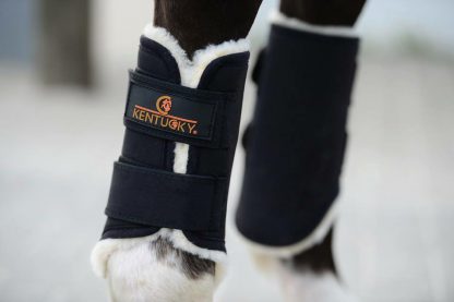 Kentucky Horsewear Trainingsgamasche Solimbra – Bild 4
