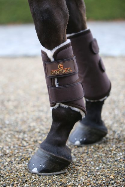 Kentucky Horsewear Trainingsgamasche Solimbra – Bild 6