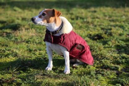 Kentucky Dogwear Hundemantel – Bild 2