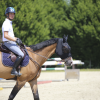 Kentucky Horsewear Fliegenmaske – Bild 3