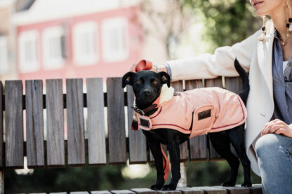Kentucky Dogwear Hundemantel wasserdicht