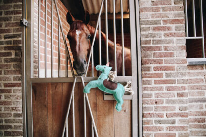 Kentucky Horsewear RELAX HORSE TOY EINHORN