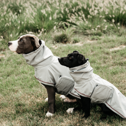 Kentucky Dogwear Hunderegenmantel – Bild 4