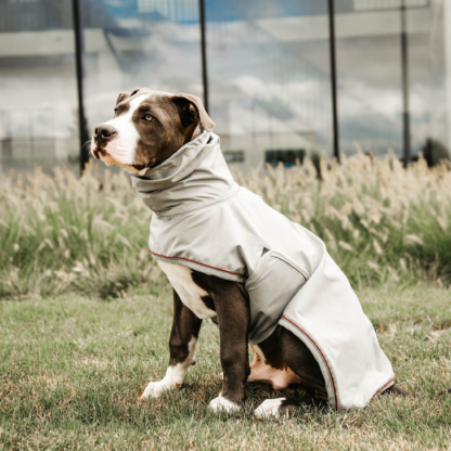 Kentucky Dogwear Hunderegenmantel