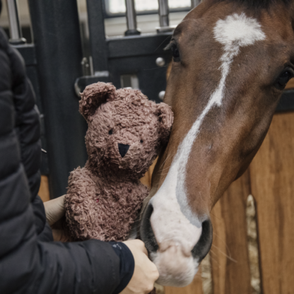 Kentucky Horsewear "RELAX HORSE TOY SOFT BEAR"