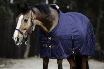 Kentucky Horsewear Stalldecke 0 Gramm – Bild 8