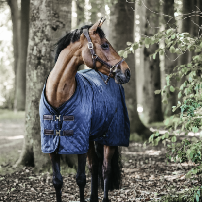 Kentucky Horsewear Stalldecke 0 Gramm