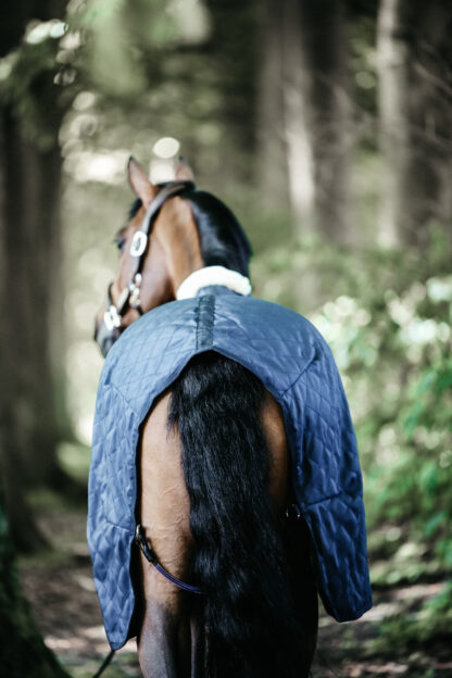 Kentucky Horsewear Stalldecke 0 Gramm – Bild 6