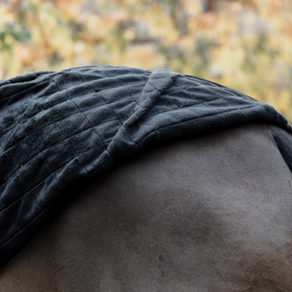Kentucky Horsewear Stalldecke 0 Gramm – Bild 4