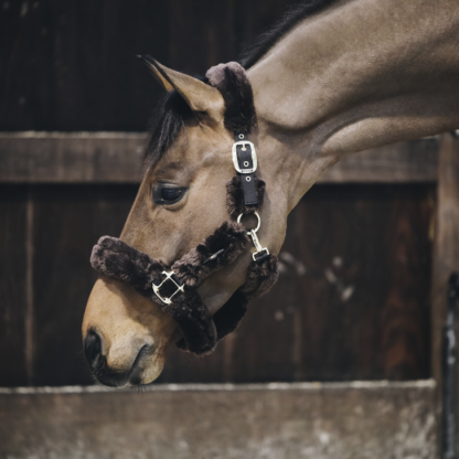 Kentucky Horsewear Fellhalfter – Bild 6