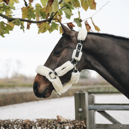 Kentucky Horsewear Fellhalfter – Bild 3