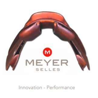 Meyer Selles