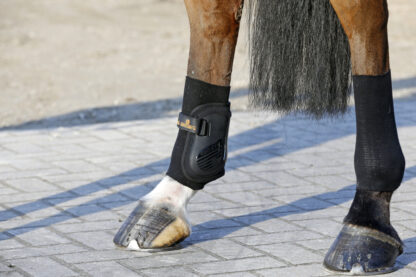 Kentucky Horsewear Sehnenstrümpfe mit Gel – Bild 2