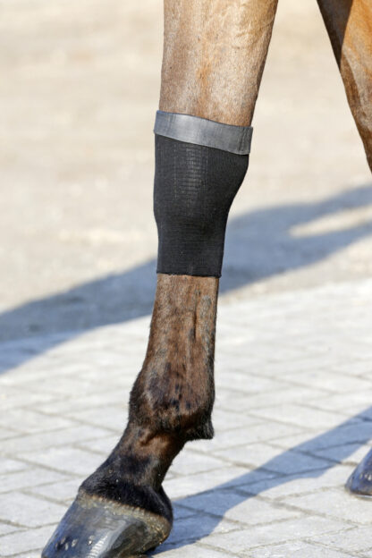Kentucky Horsewear Sehnenstrümpfe mit Gel