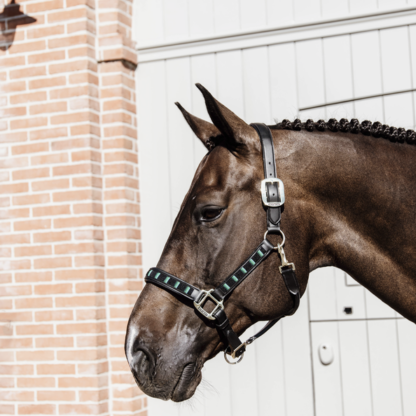 Kentucky Horsewear Halfter Pearls – Bild 4