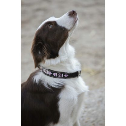 PENELOPE „PEARL" HUNDEHALSBAND