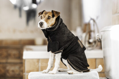 Kentucky Dogwear Hundemantel Towel